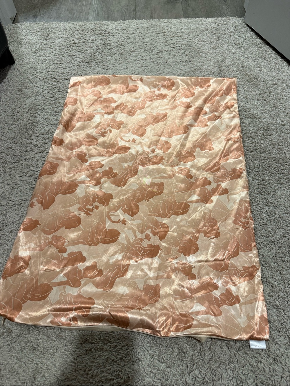 Kitsch Disney Princess Pillowcase
